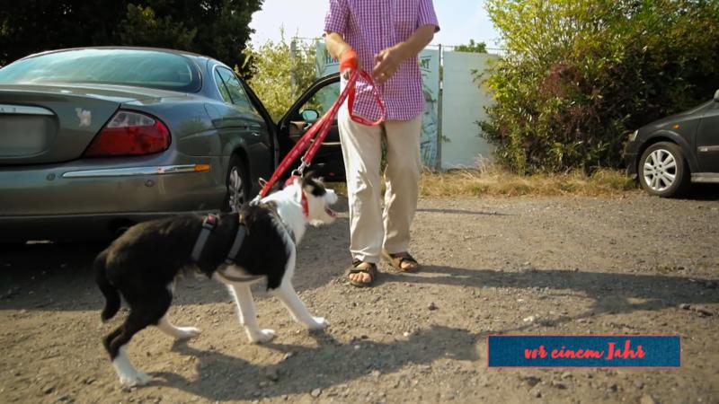 Ein bisschen von Rütters Zauber hat gewirkt