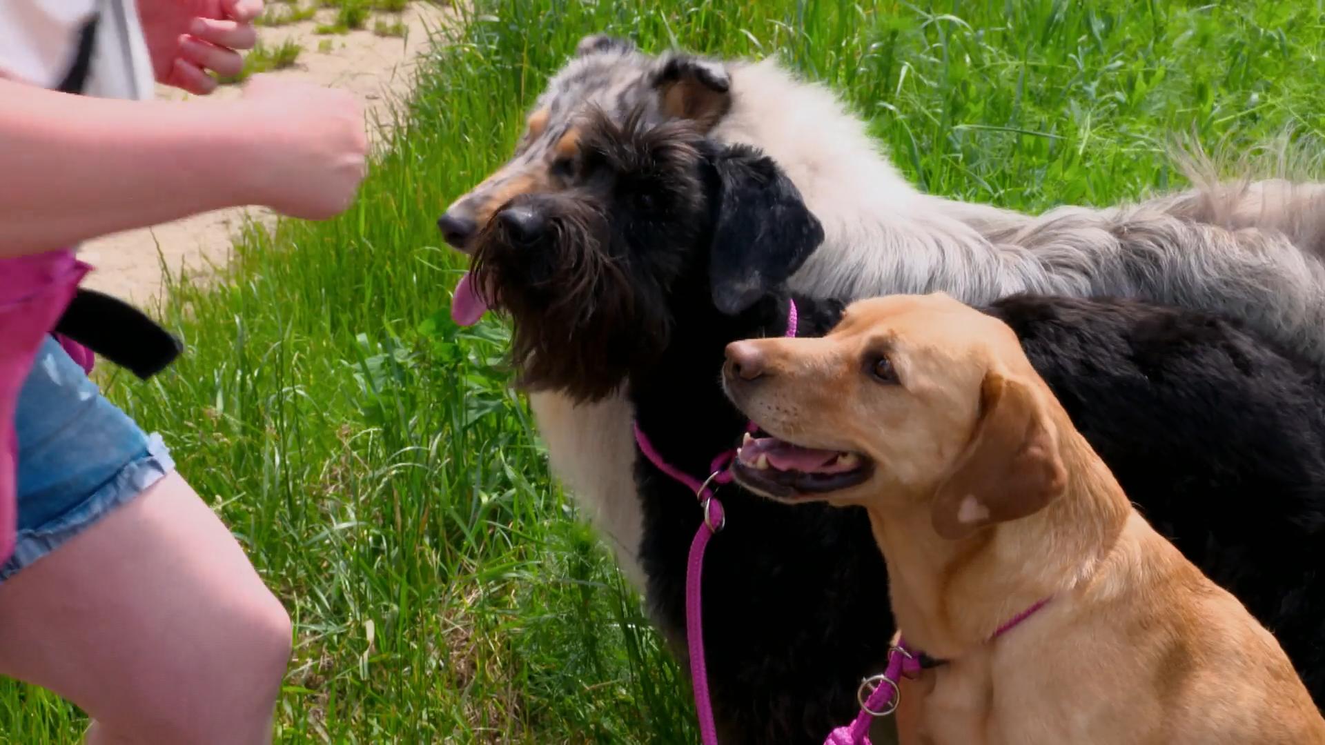 Noch einen weiteren Mitbewohner ?!