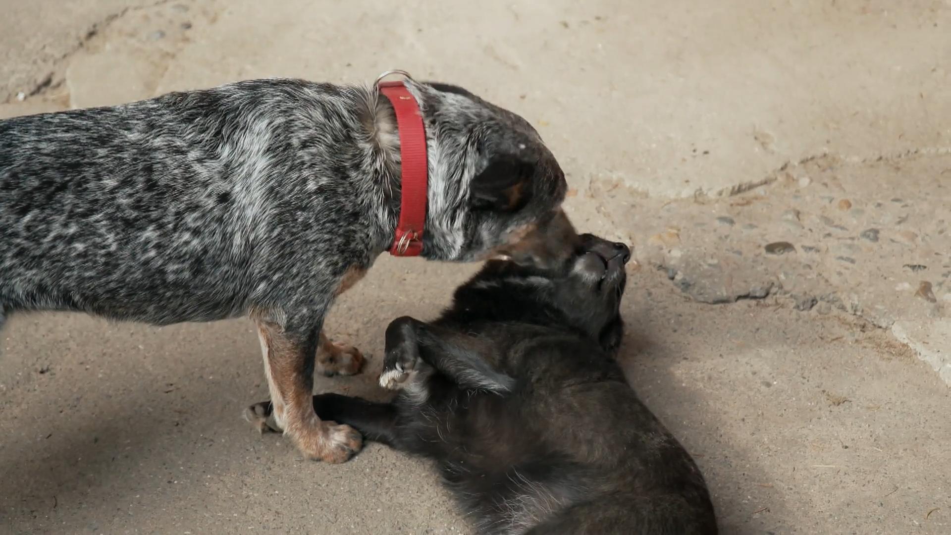 EIne Katastrophe mit verblüffender Wendung