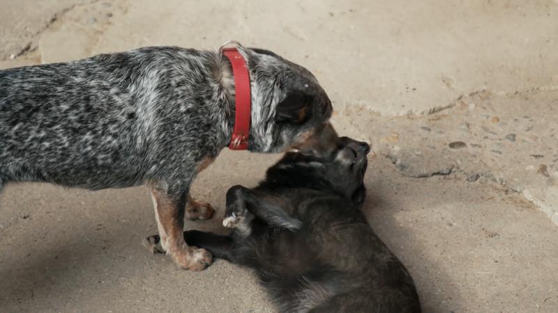 EIne Katastrophe mit verblüffender Wendung