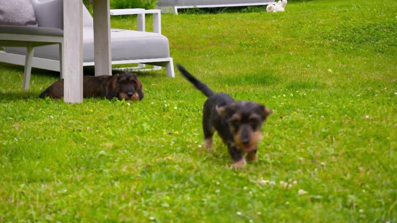 Betty soll ein Geschwisterchen bekommen