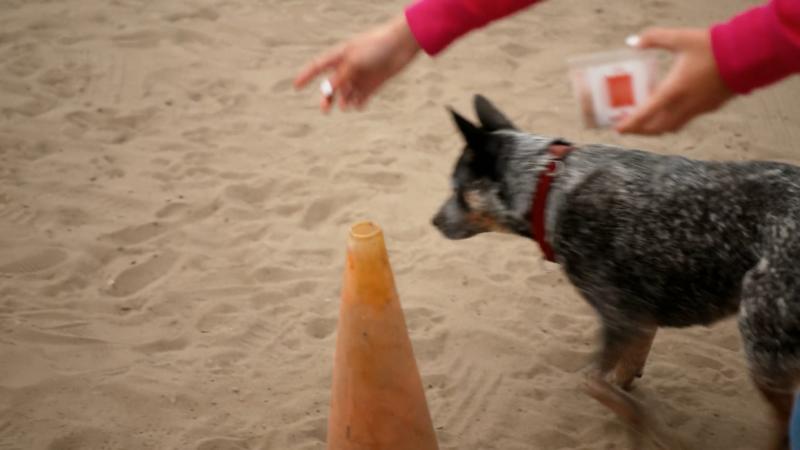 Hat sich das lange Training bezahlt gemacht ?