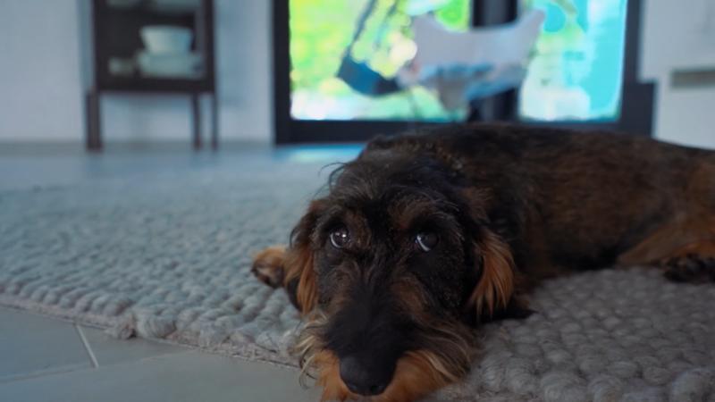 Happy Birthday Betty !