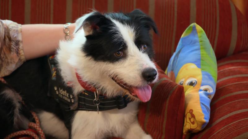 Idefix startet Versuch 2.0