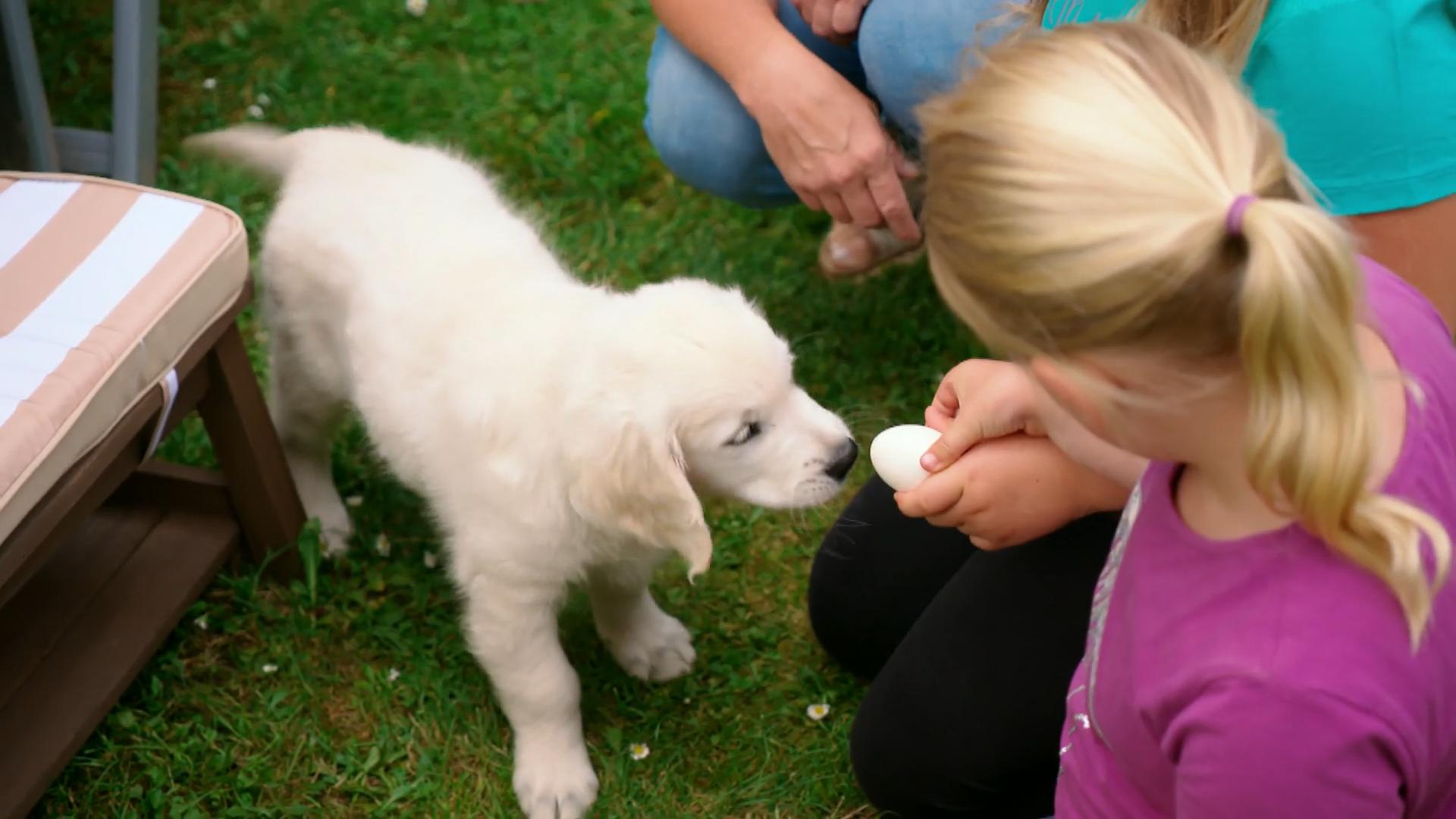 Hero ist ein Leckermaul