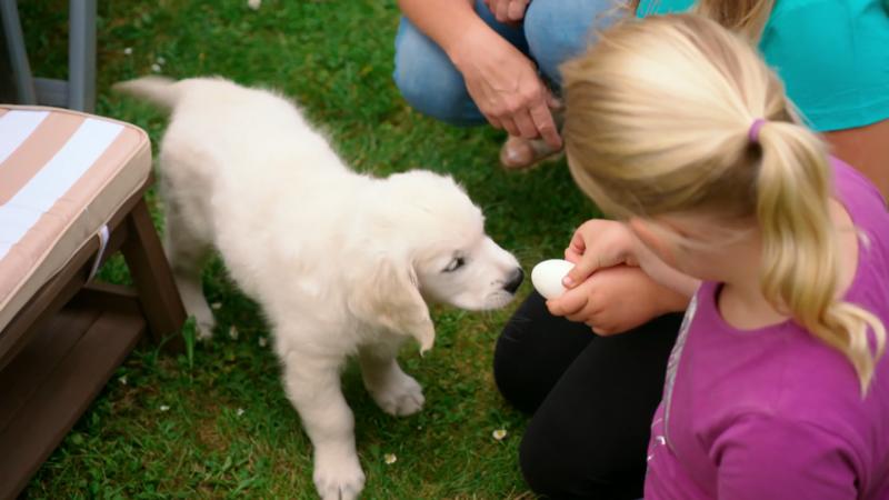 Hero ist ein Leckermaul