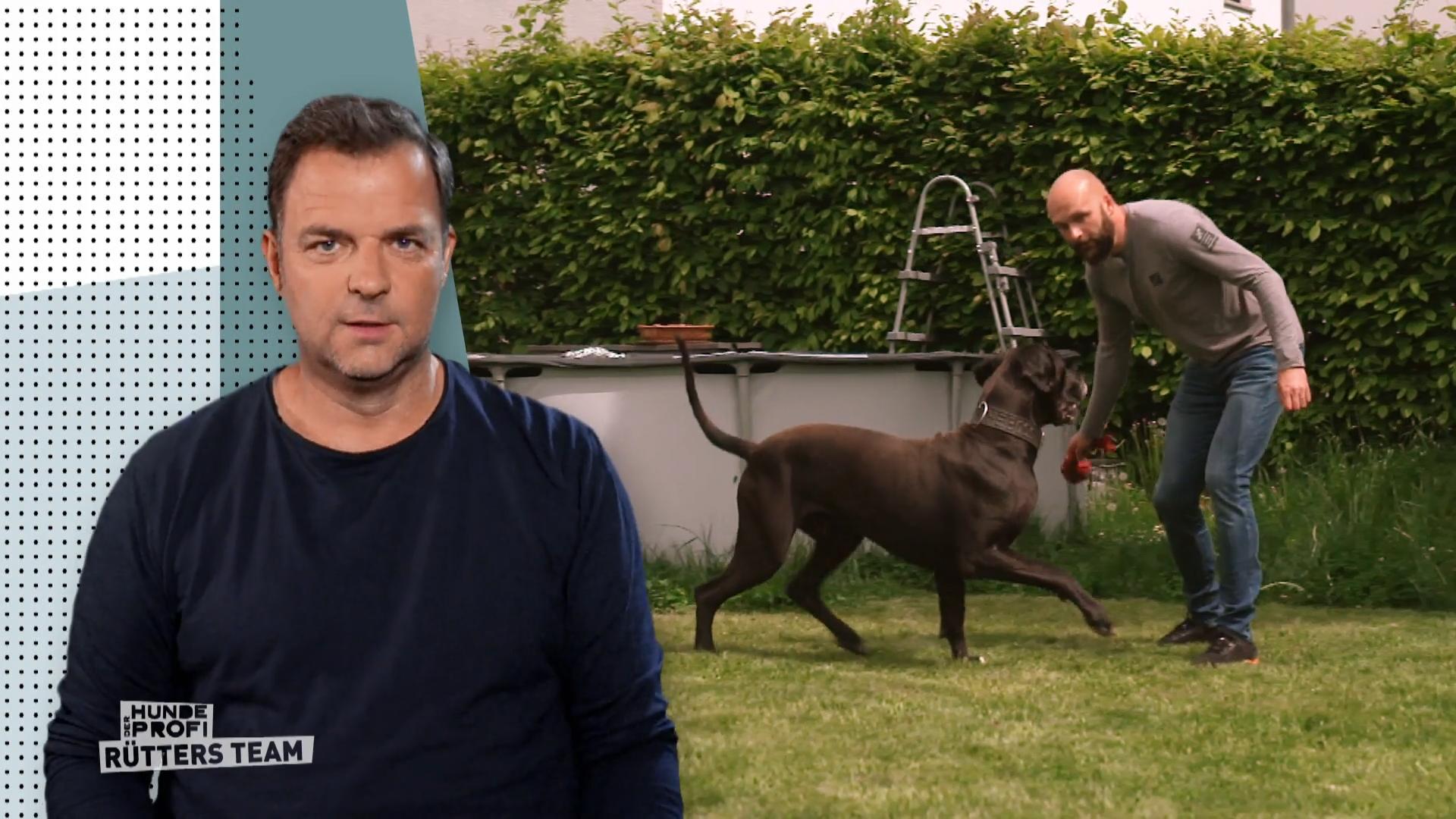 Gefährliches Spiel - Dogge Jam ist feindselig