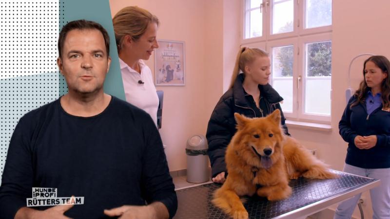 Trainingserfolg bei Ellie
