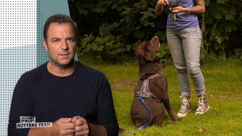 Ein kleiner Schritt in die richtige Richtung