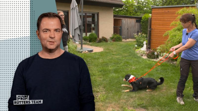 Training für Hund und Frauchen