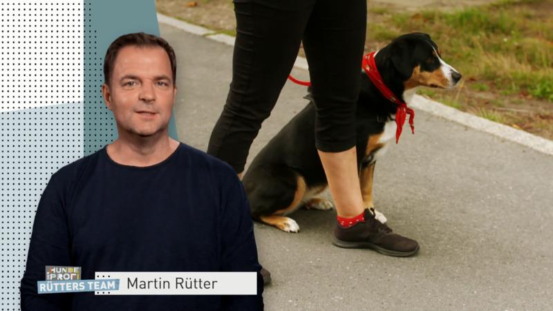 Ein erster Erfolg