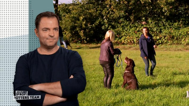Jackson hat sich seine Freiheit verdient!