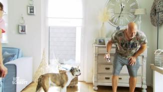 Hundespray raubt Allestestern den Atem