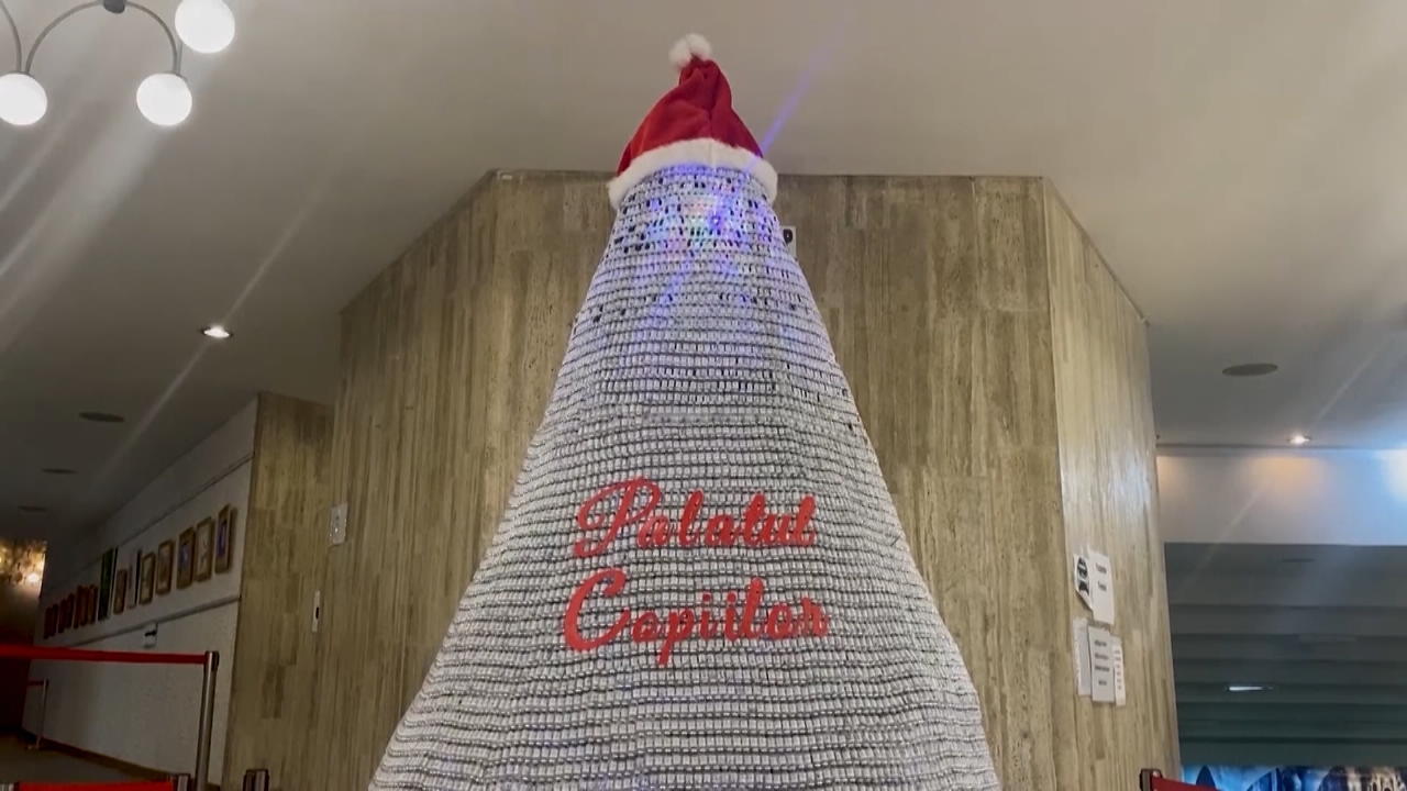 Ist DAS der schrägste Weihnachtsbaum der Welt?