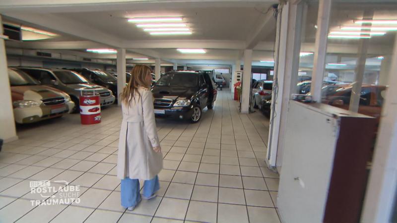 Hund Luise gefällt der Wagen