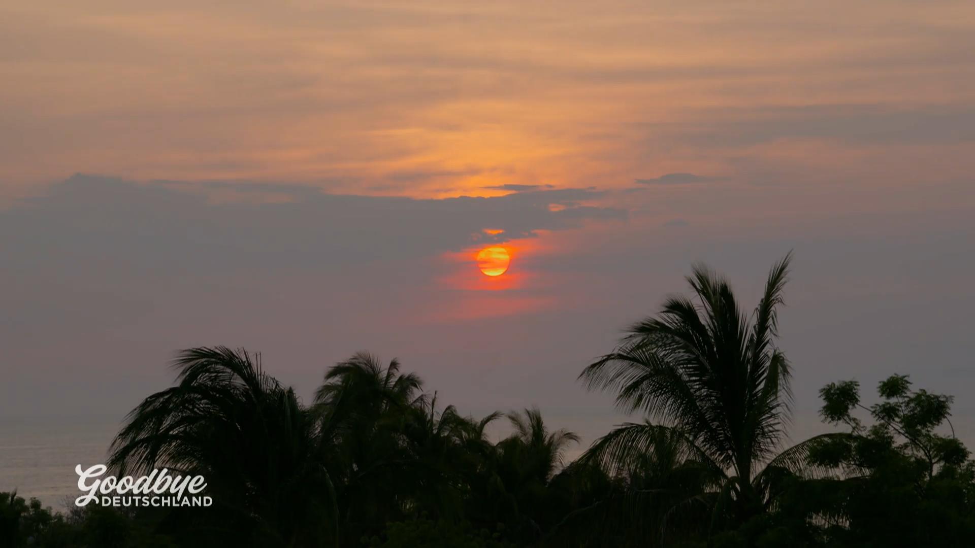 Alice findet nicht nur Erfolg sondern auch Liebe in Mexico