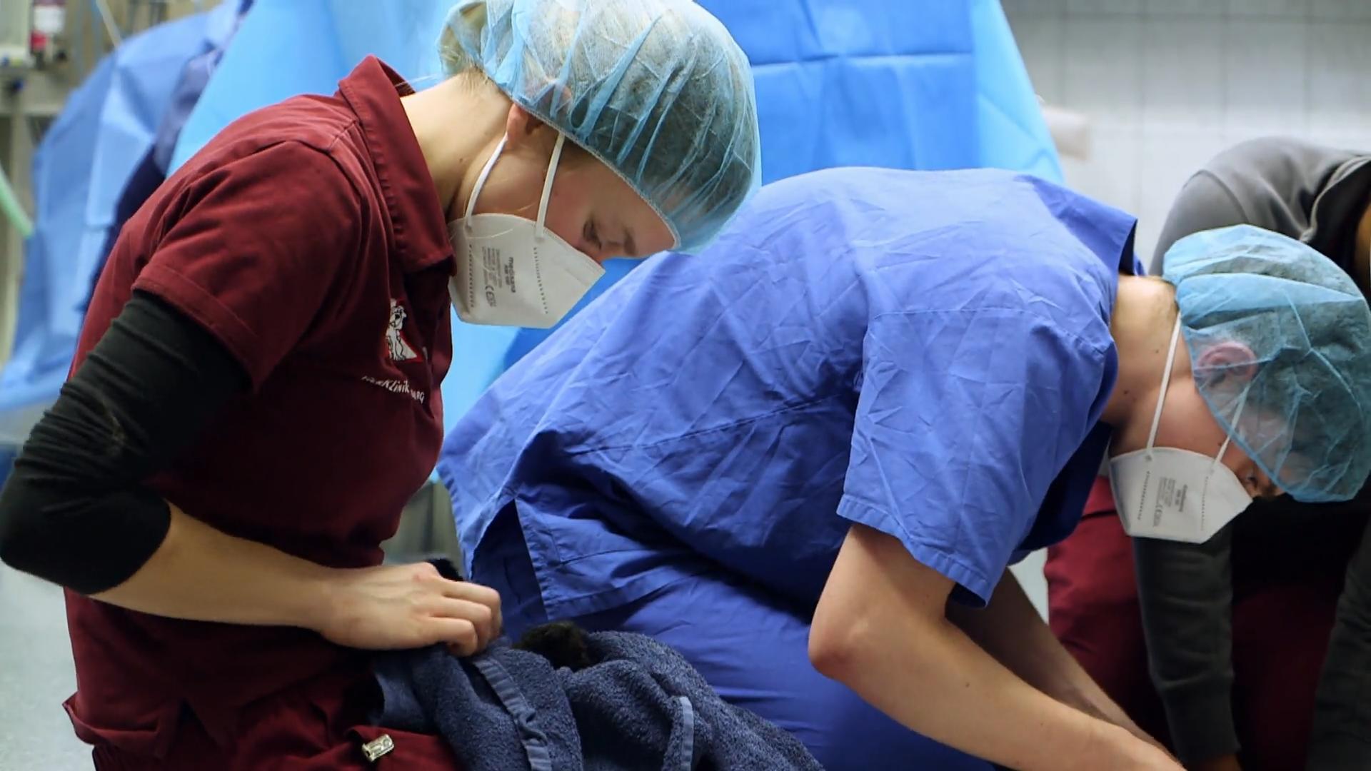 Werden die Welpen überleben?