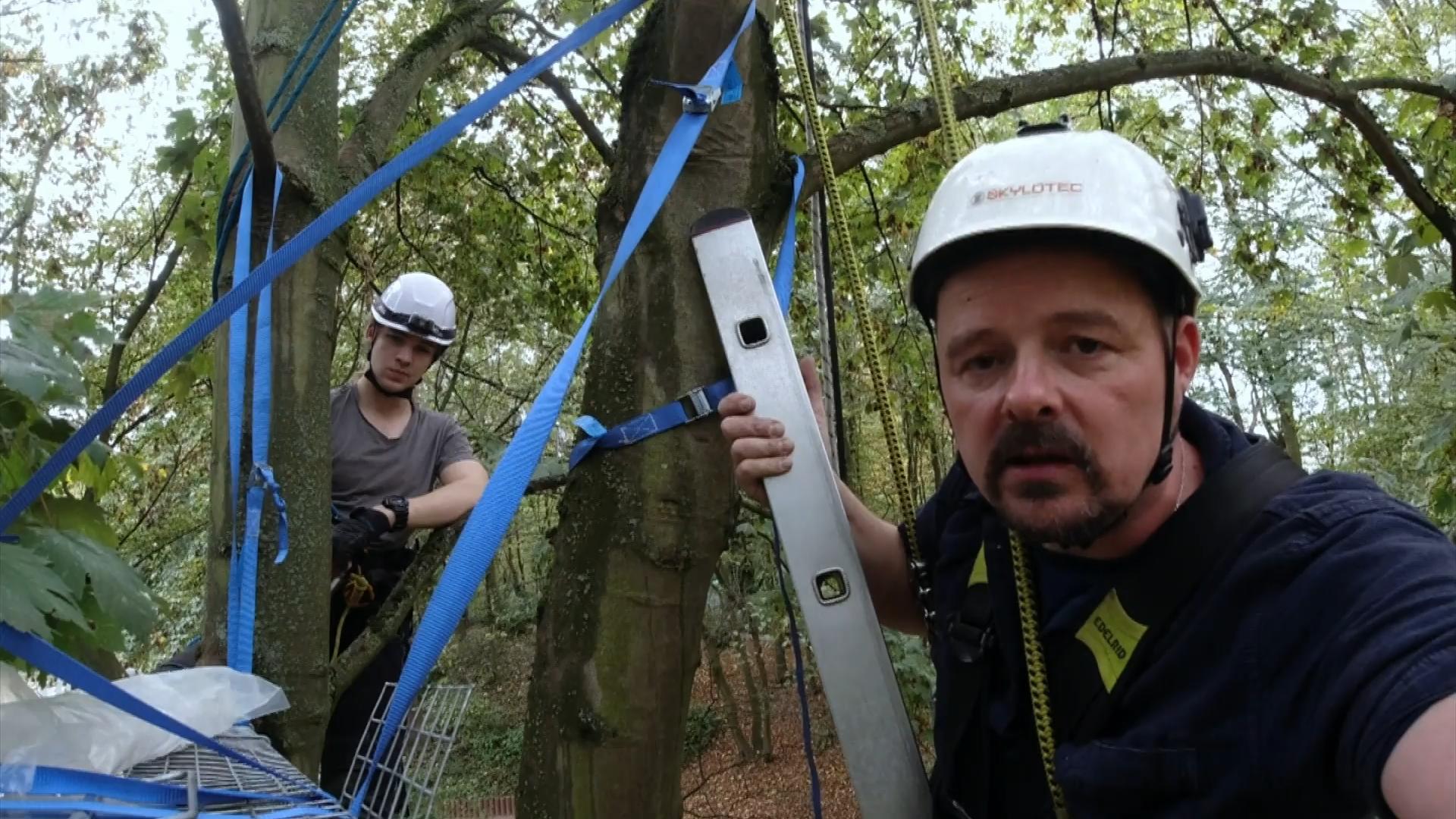 Eichhörnchen steckt fest
