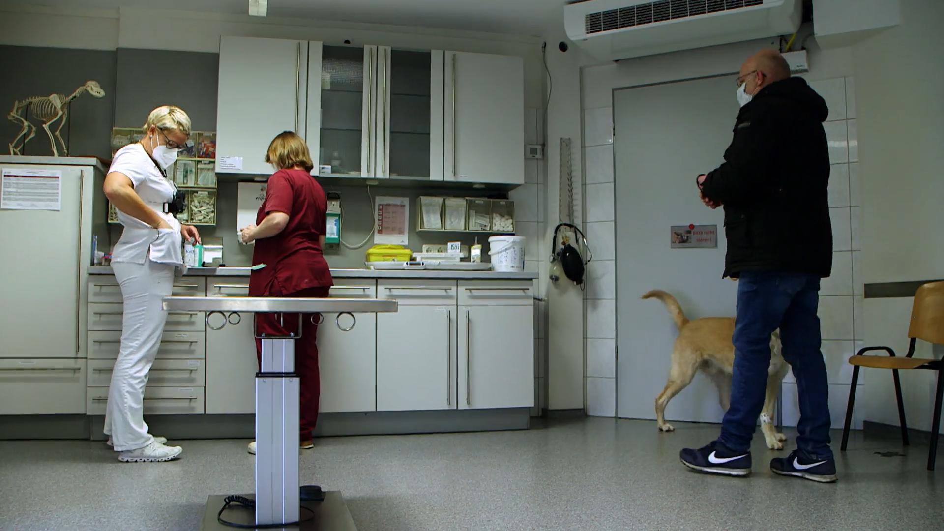 Balu braucht weitere Untersuchungen