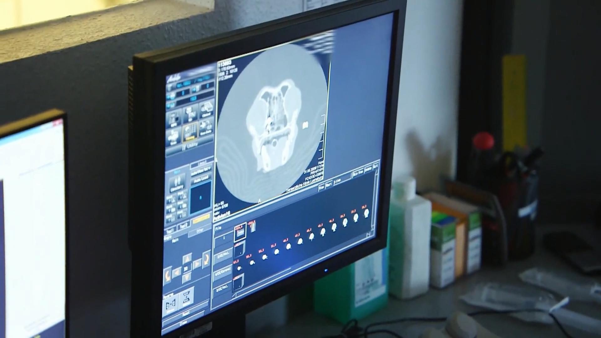 Wurde auf den ehemaligen Straßenhund geschossen?