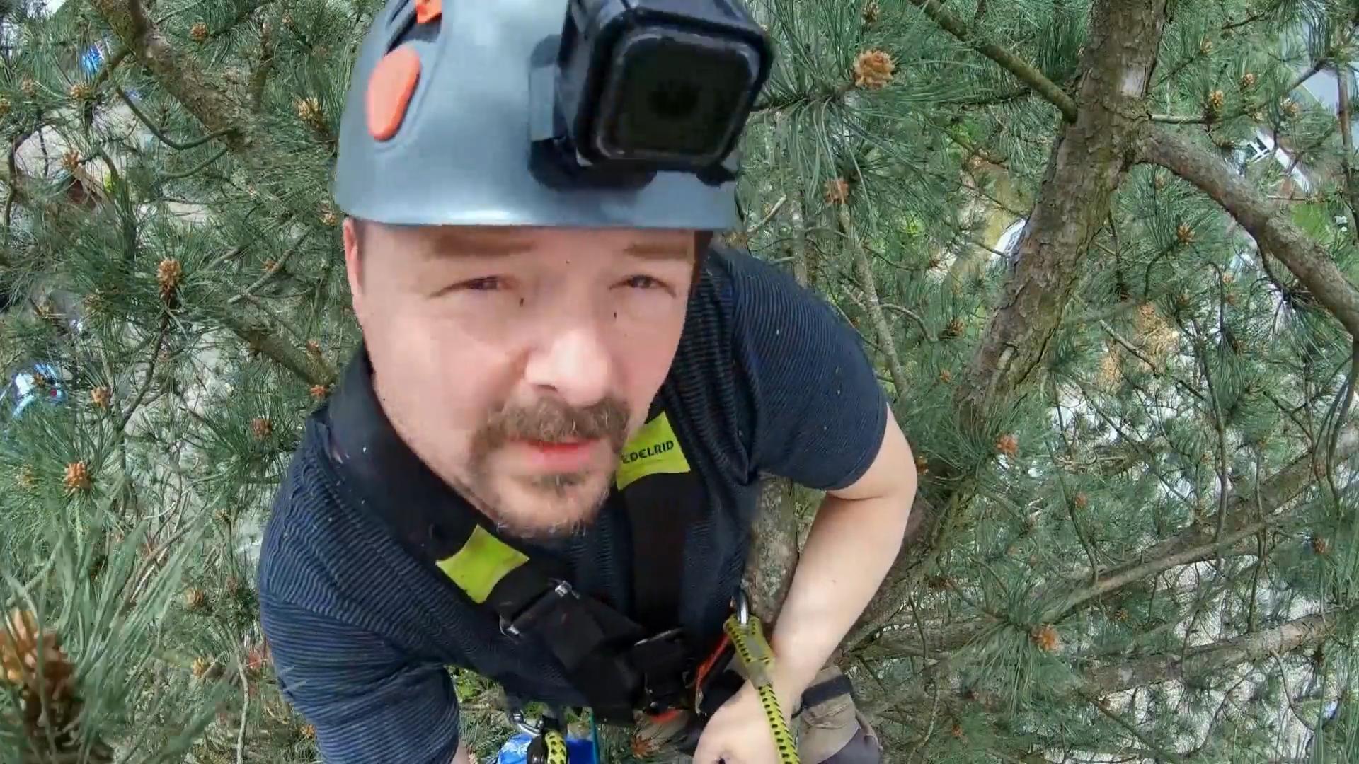 Katze Tinka muss vom Baum gerettet werden