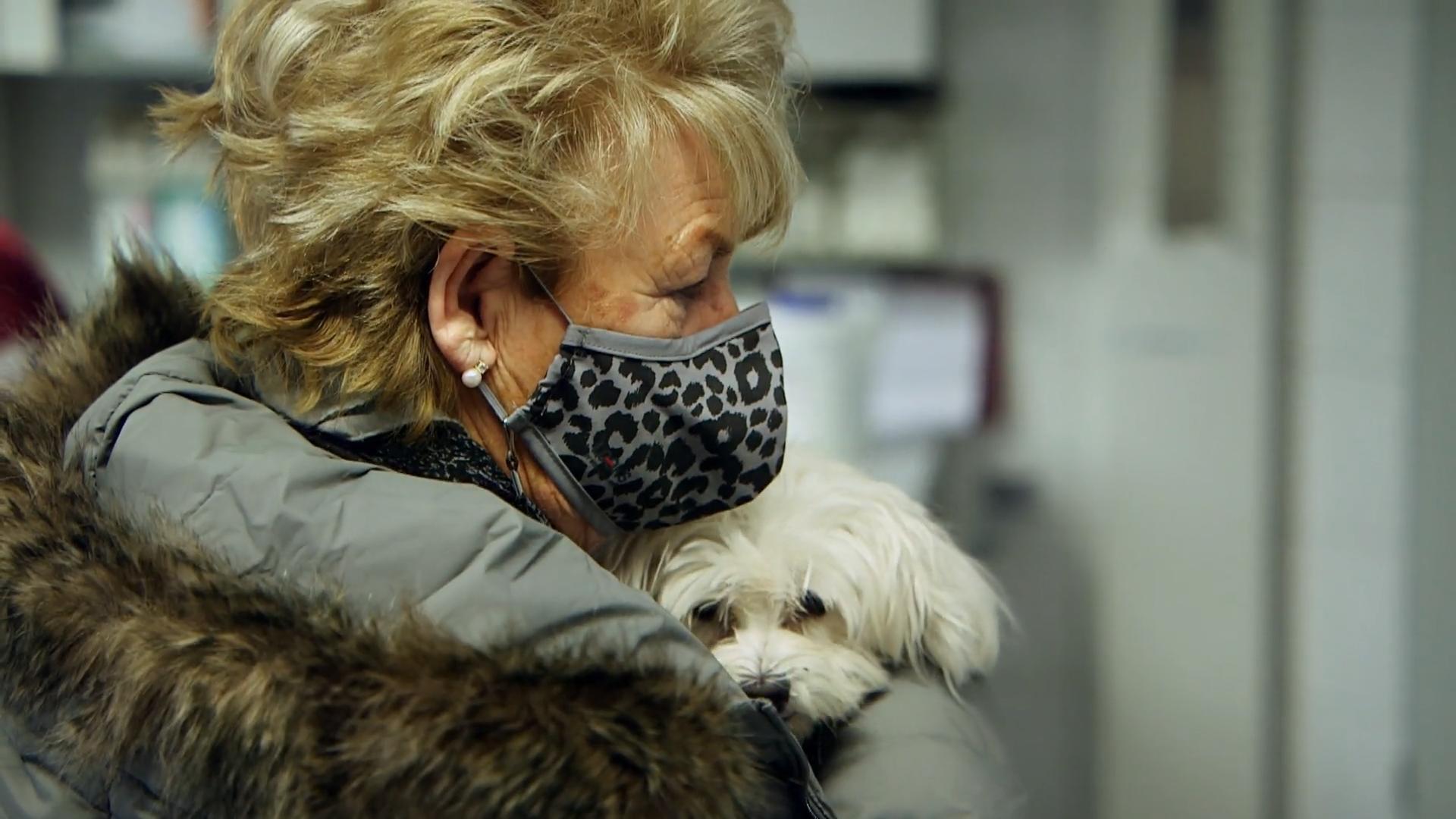 Was fehlt der kleinen Hündin Becky?