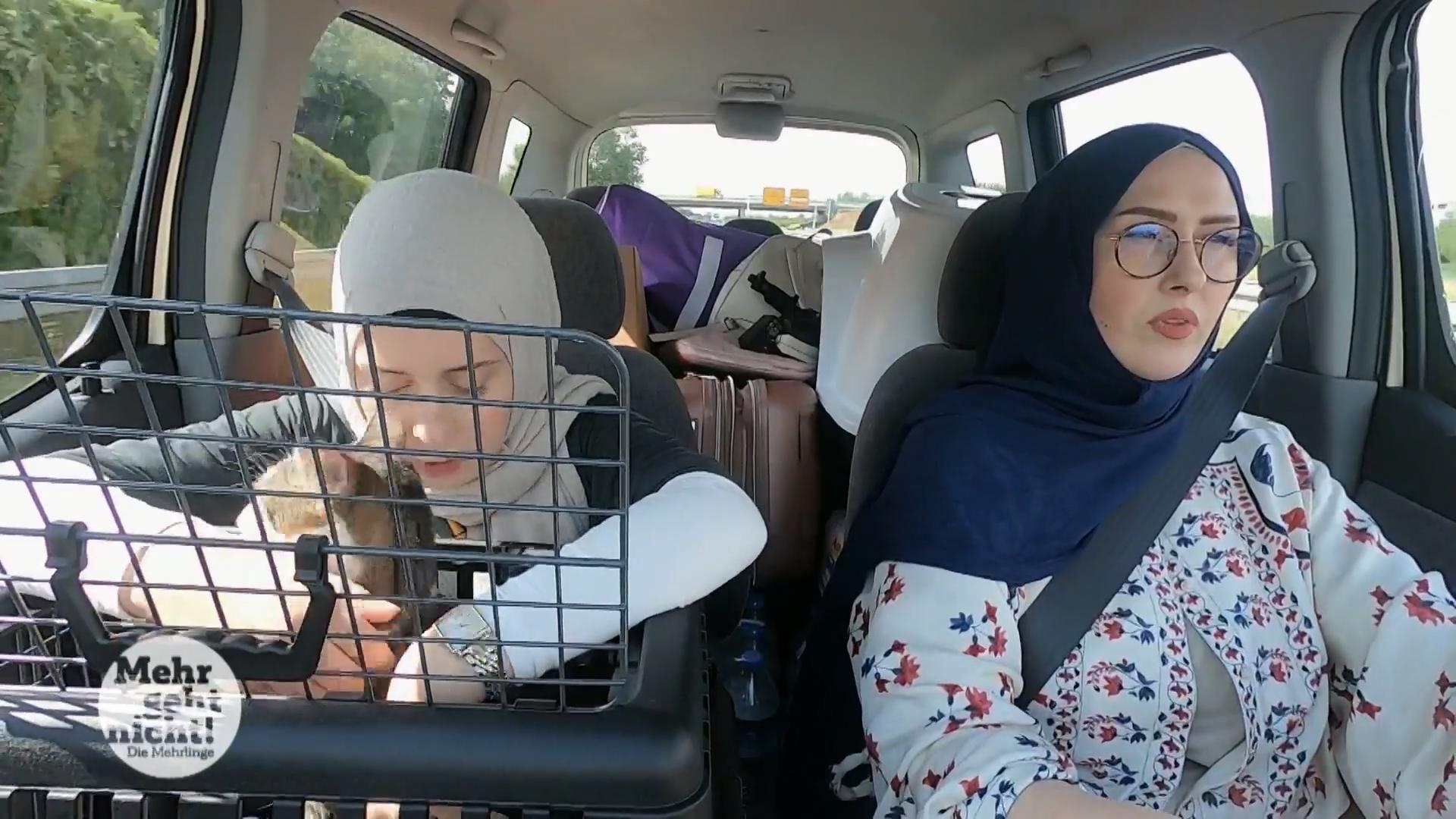 Urlaub mit Sechslingen und 2 Katzen