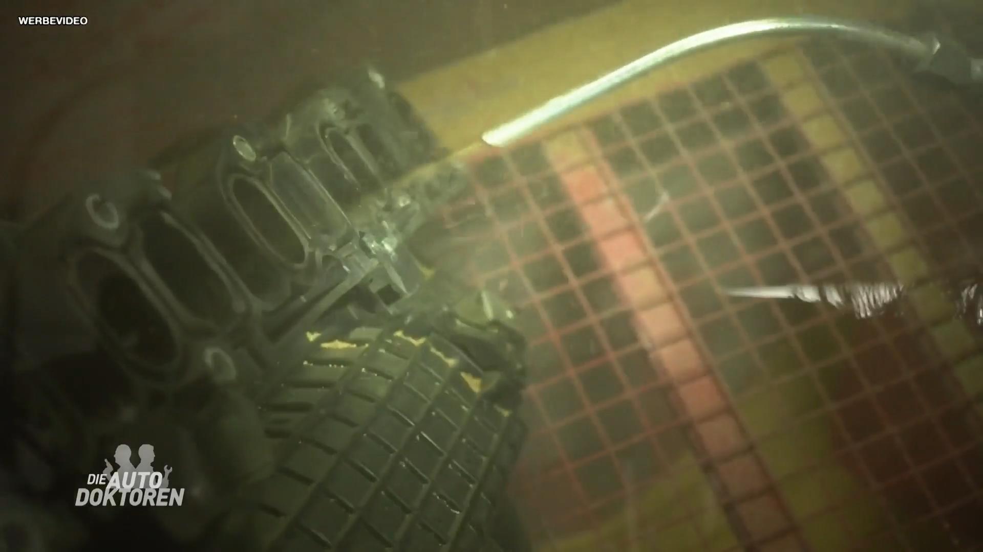 Die Autodoktoren als Plantagenbesitzer?