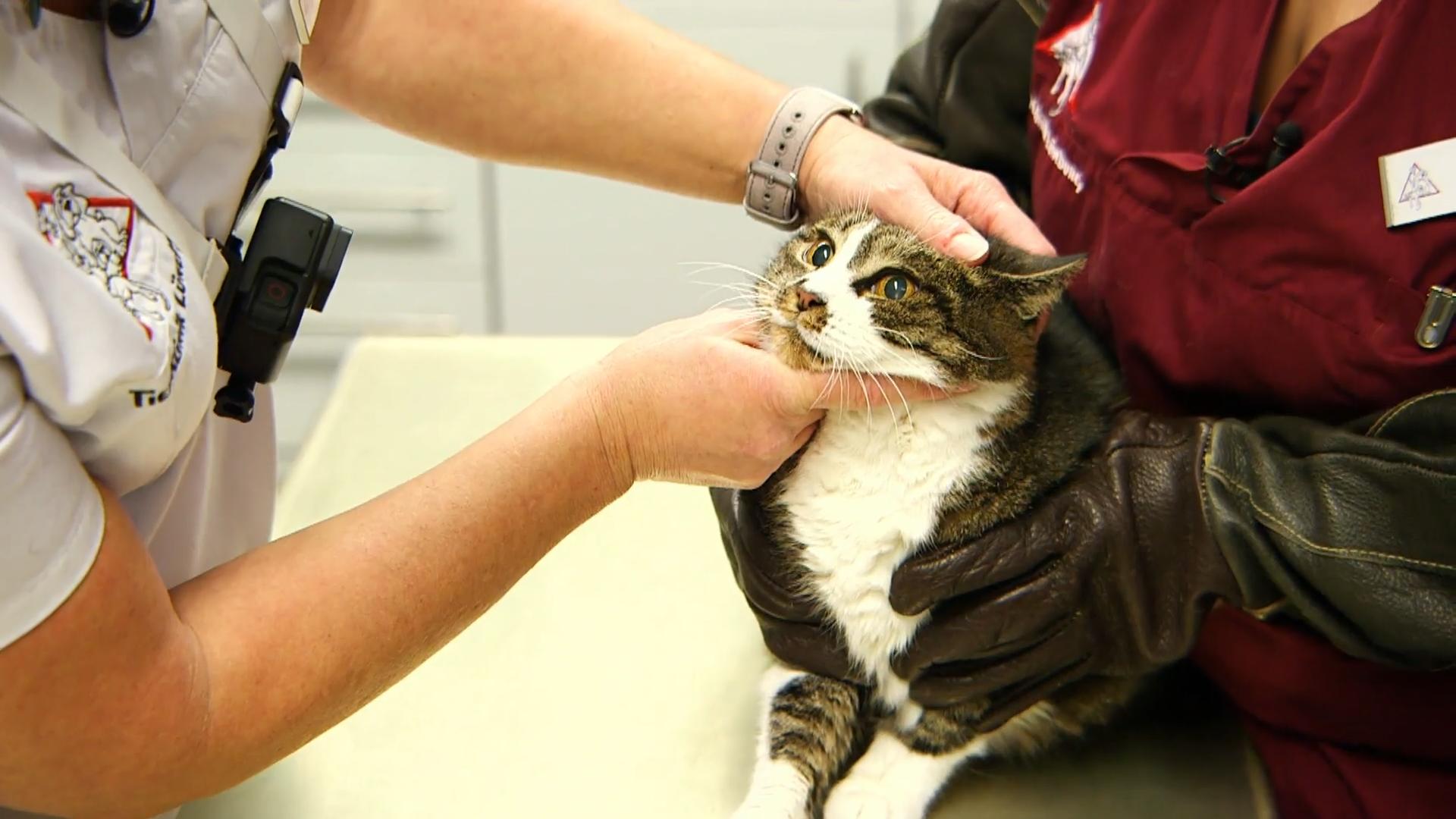 "Das ist nicht zu unterschätzen"