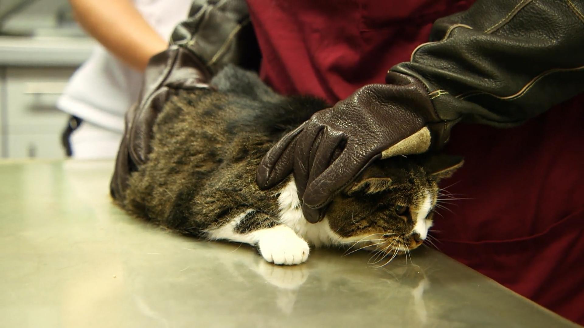 Louise wird komplett durchgescheckt