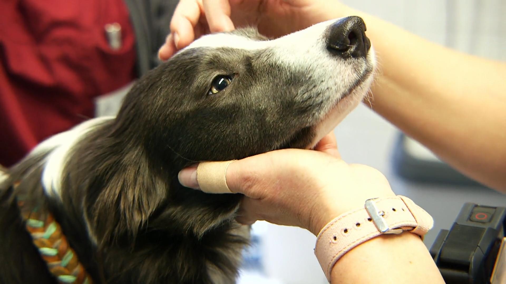 „Augenverletzungen sind nicht zu unterschätzen“