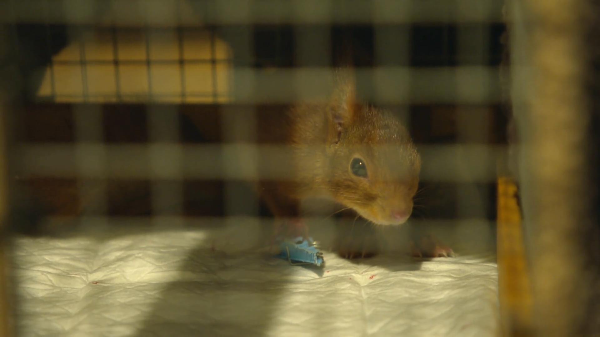 „Es war klar, wir müssen abbrechen“