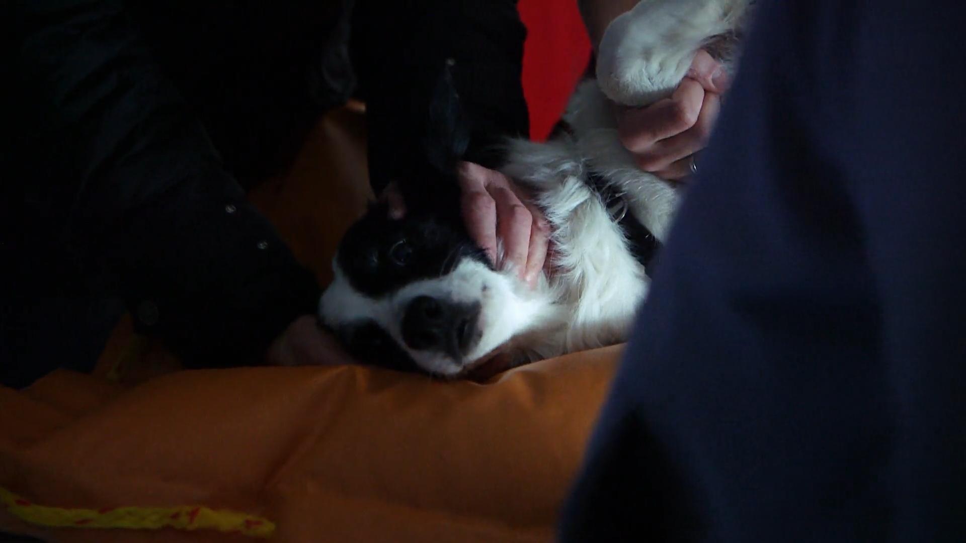 Butterbrot für Lucie