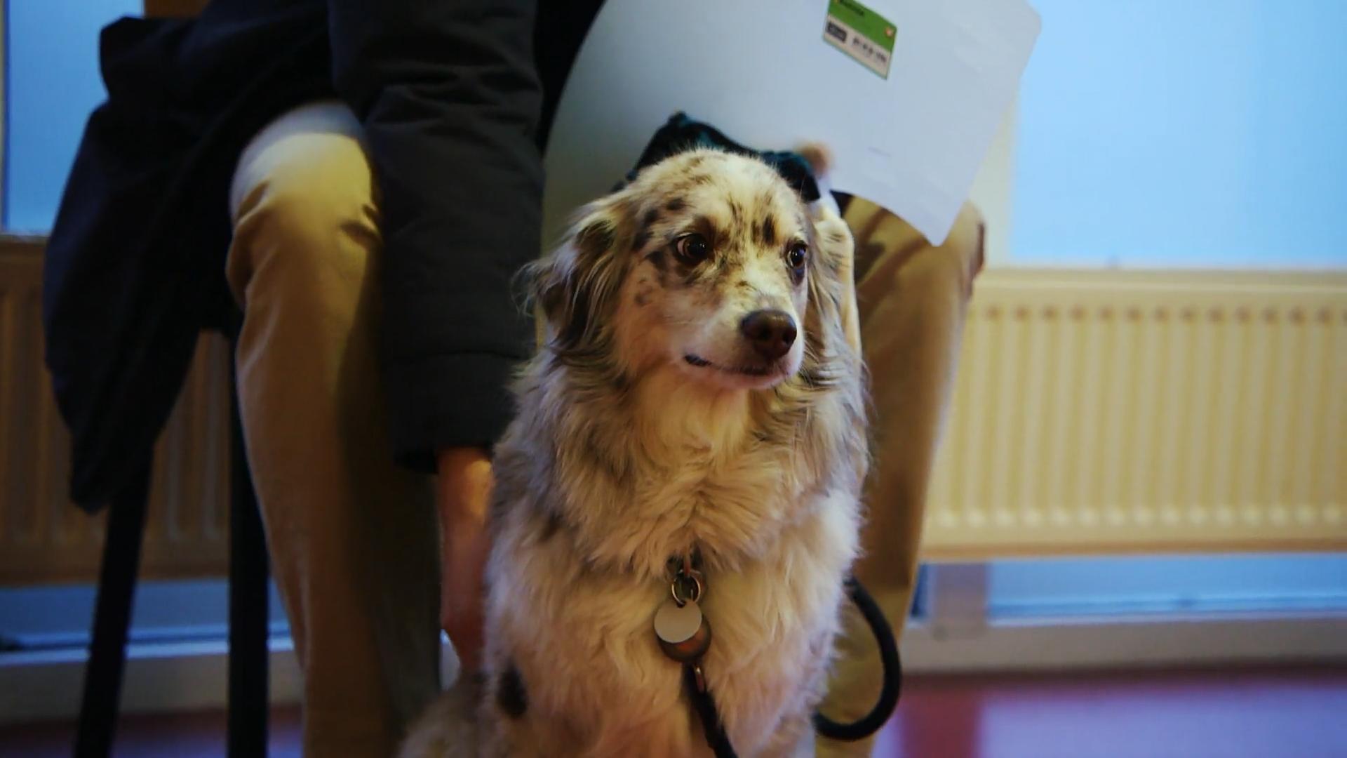 Jule muss nochmal behandelt werden