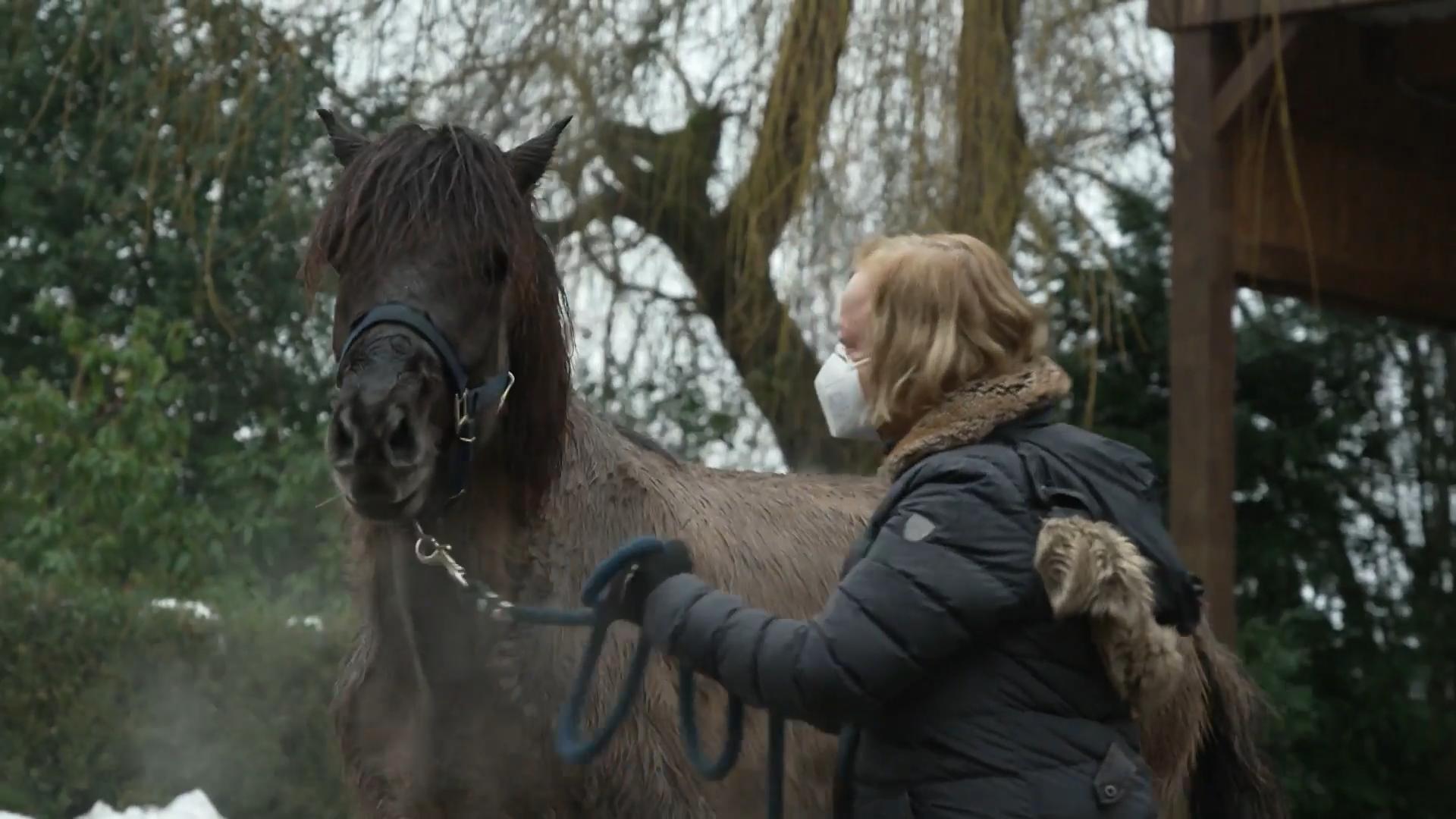 Pferde-Dektektivin und Doktorin