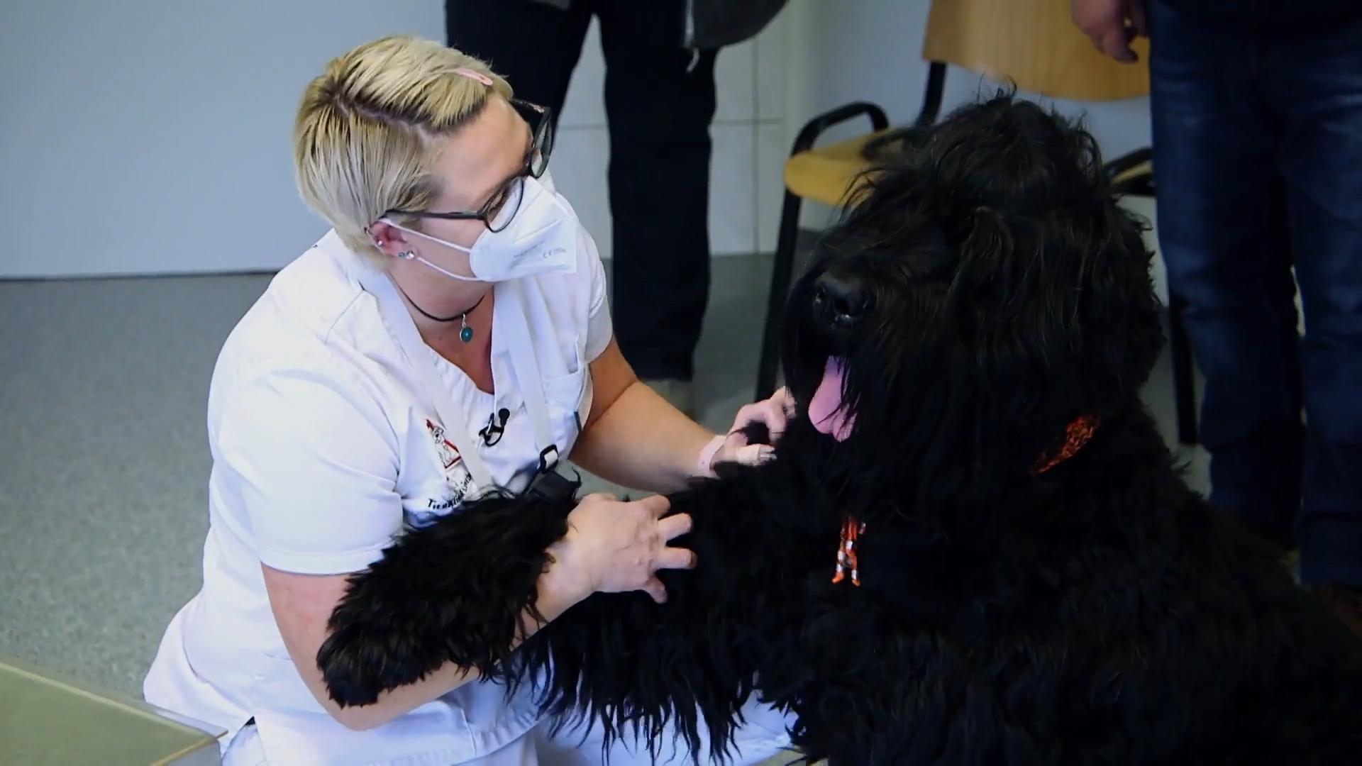 Toni bekommt einen Schuh verpasst