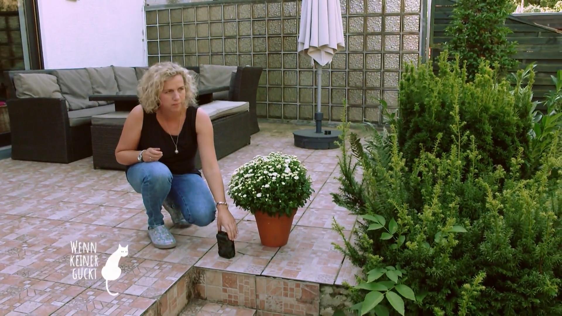 Was treibt die Katzen so um?