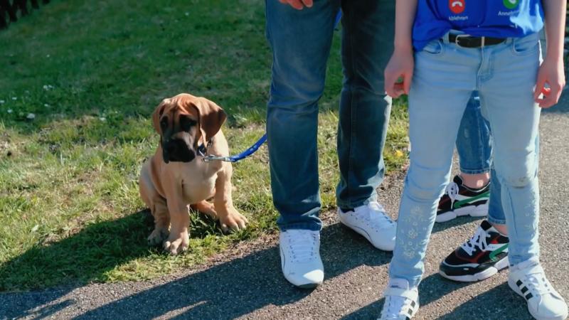 Ein ganz schön aufwändiger Name