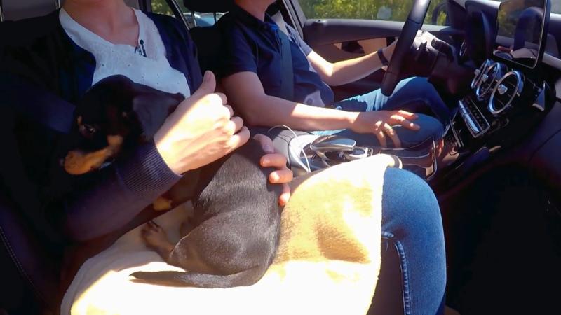 Sollte die Familie kurz anhalten?