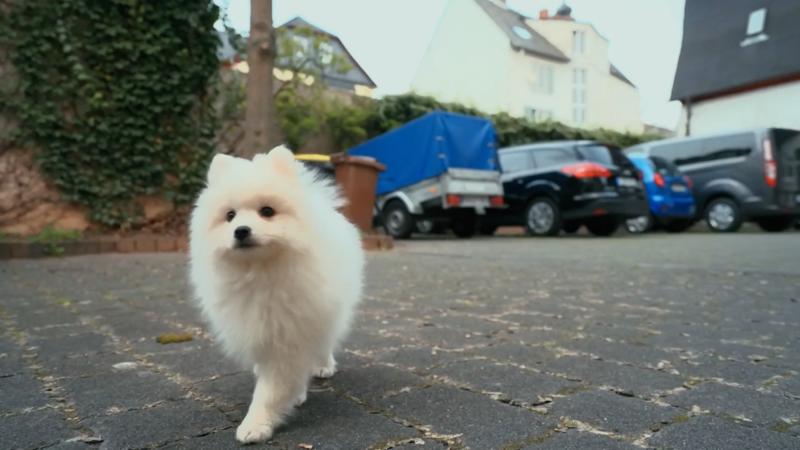 Yuki will alles kennenlernen