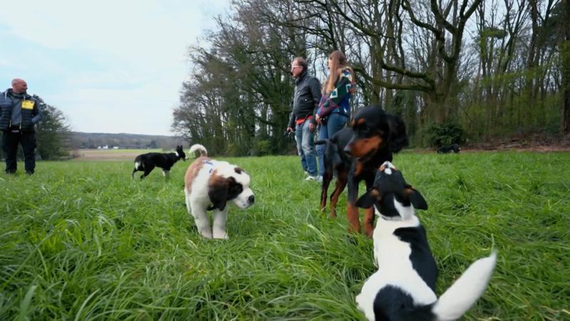 Heute geht es auf die Wiese