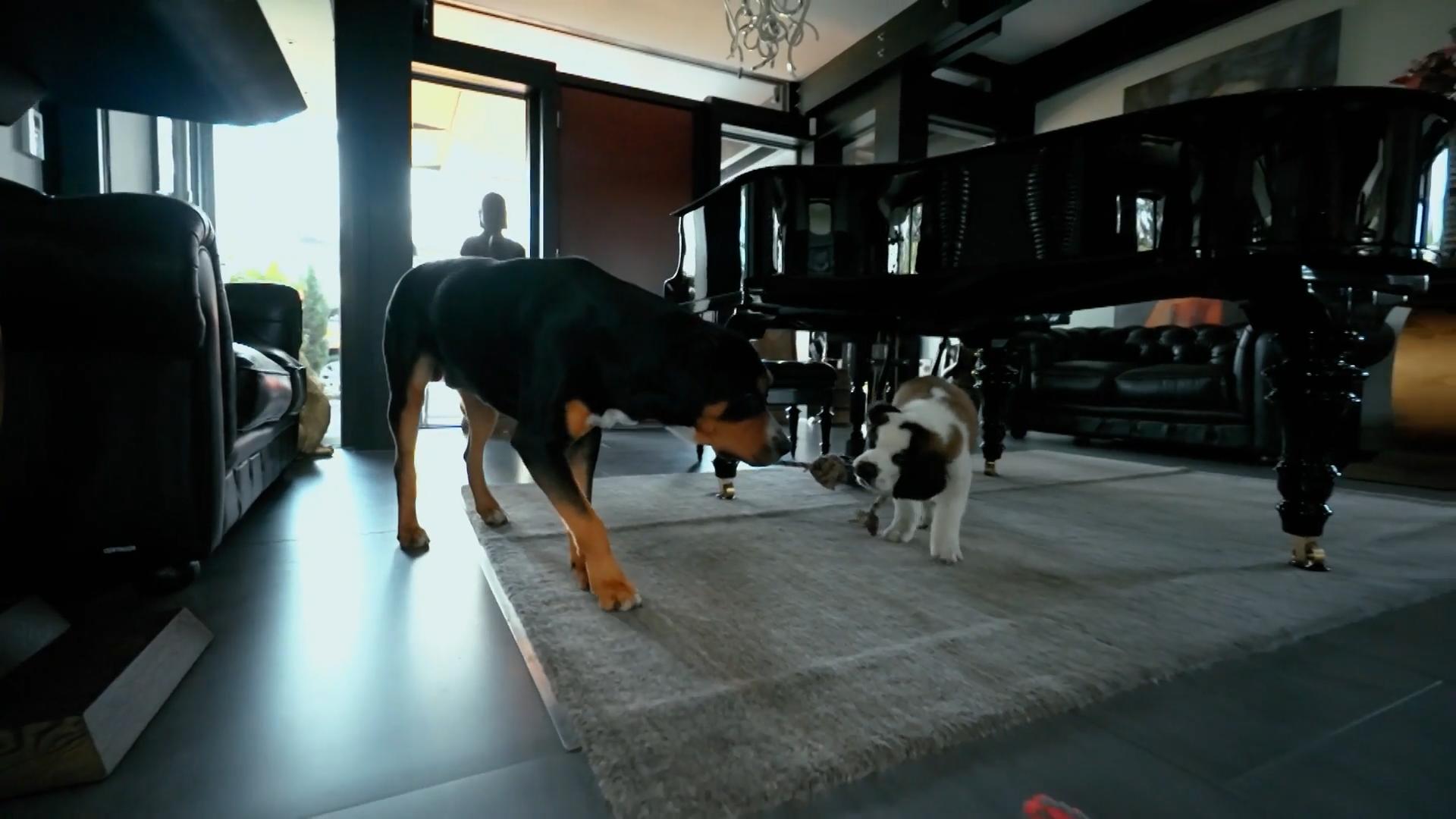 Die beiden sind Freunde geworden