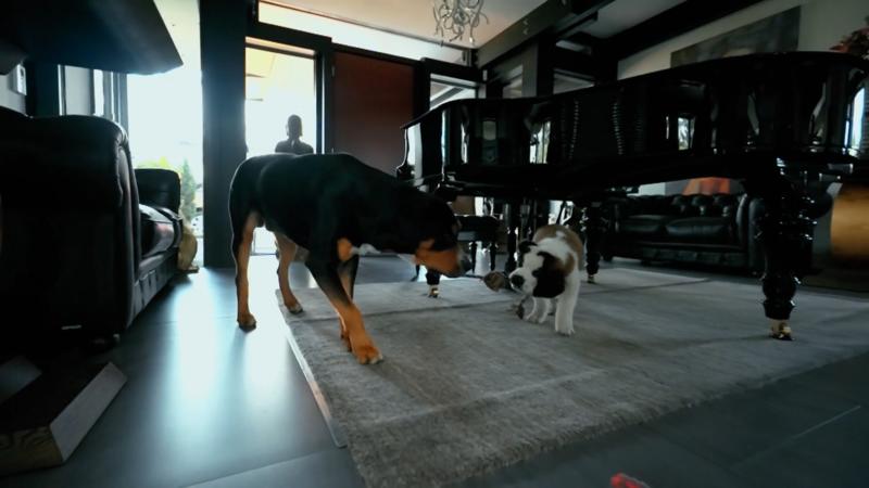 Die beiden sind Freunde geworden