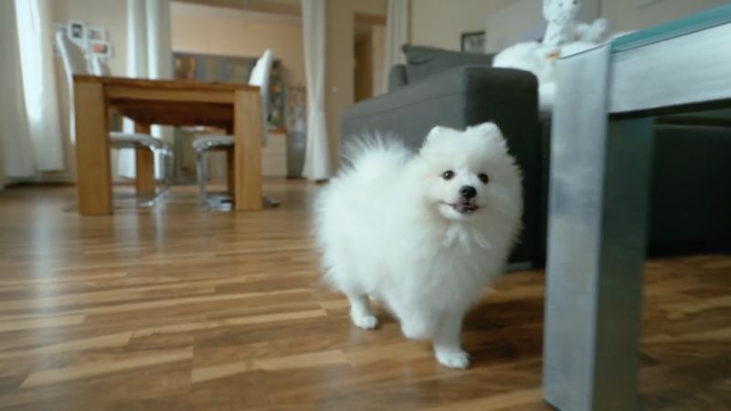 Yuki besichtigt ihr neues Heim