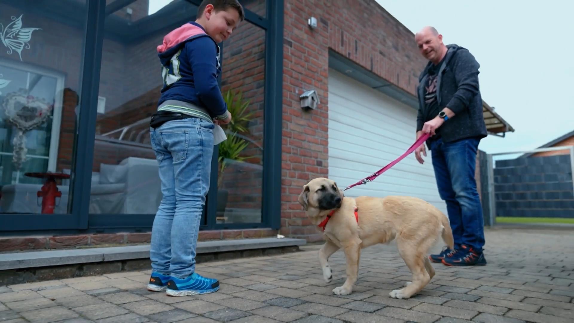 Im neuen Zuhause angekommen