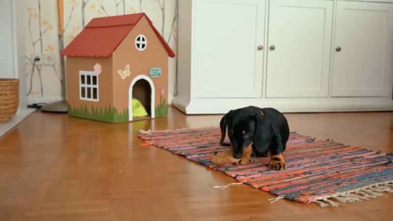 Fiete pinkelt in den Heizungsschacht