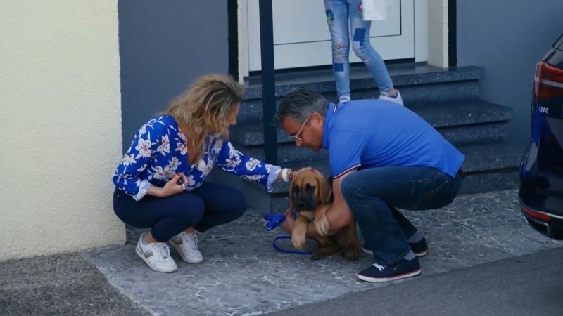 Das erste Mal Gassi gehen