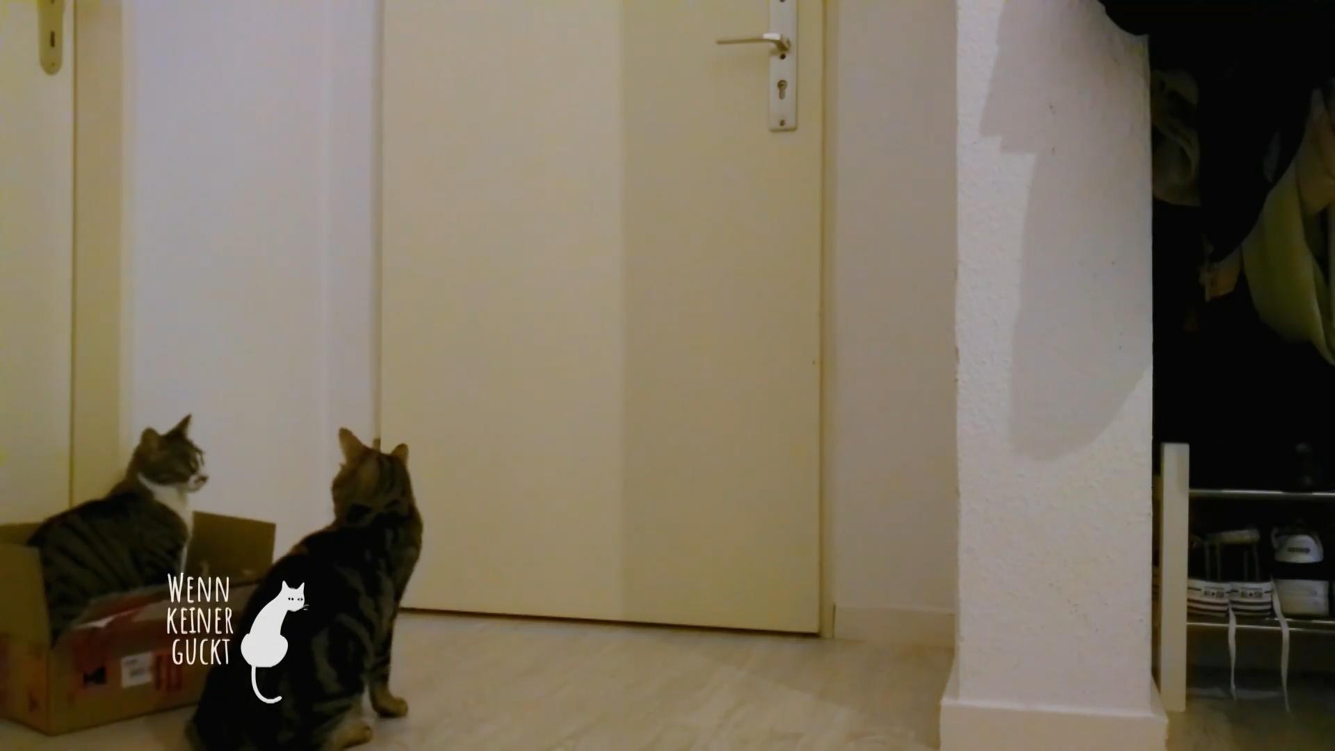 Auf lange Zeit muss es einen weiteren Rückzugsort geben