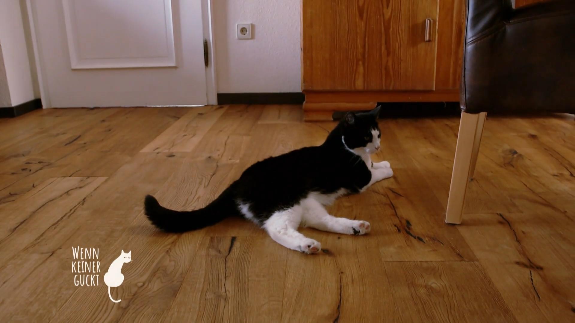 Was treibt Caruso denn so?