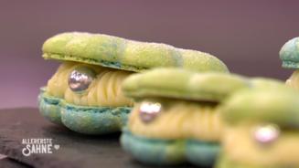Diese Muscheln haben ein Innenleben